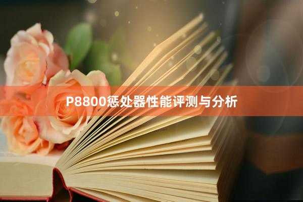 P8800惩处器性能评测与分析