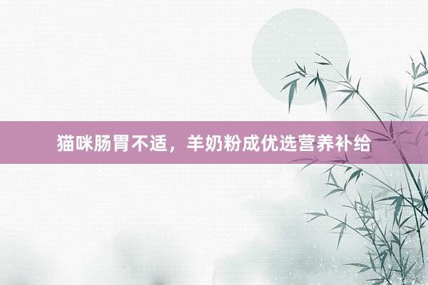 猫咪肠胃不适，羊奶粉成优选营养补给